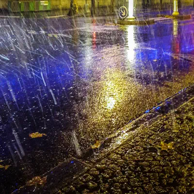 30.11.2017