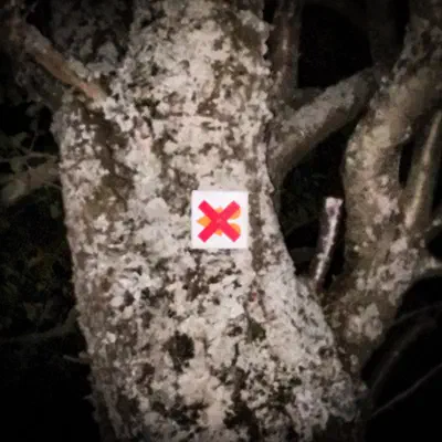 12.08.2020